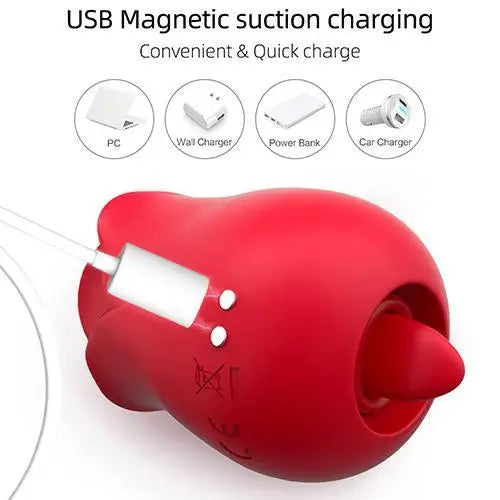 how to charge Rose Toy 2-in-1 Vibrator