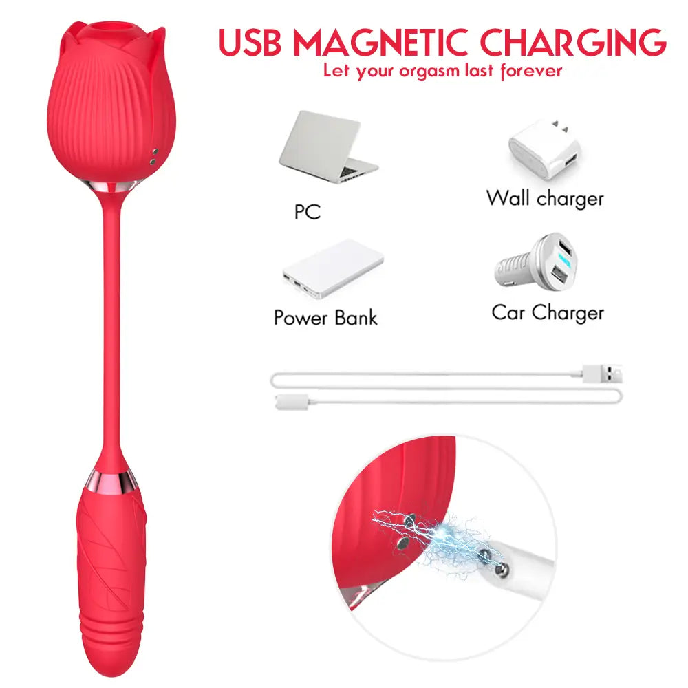how to charge Rose Toy Dual Classic
