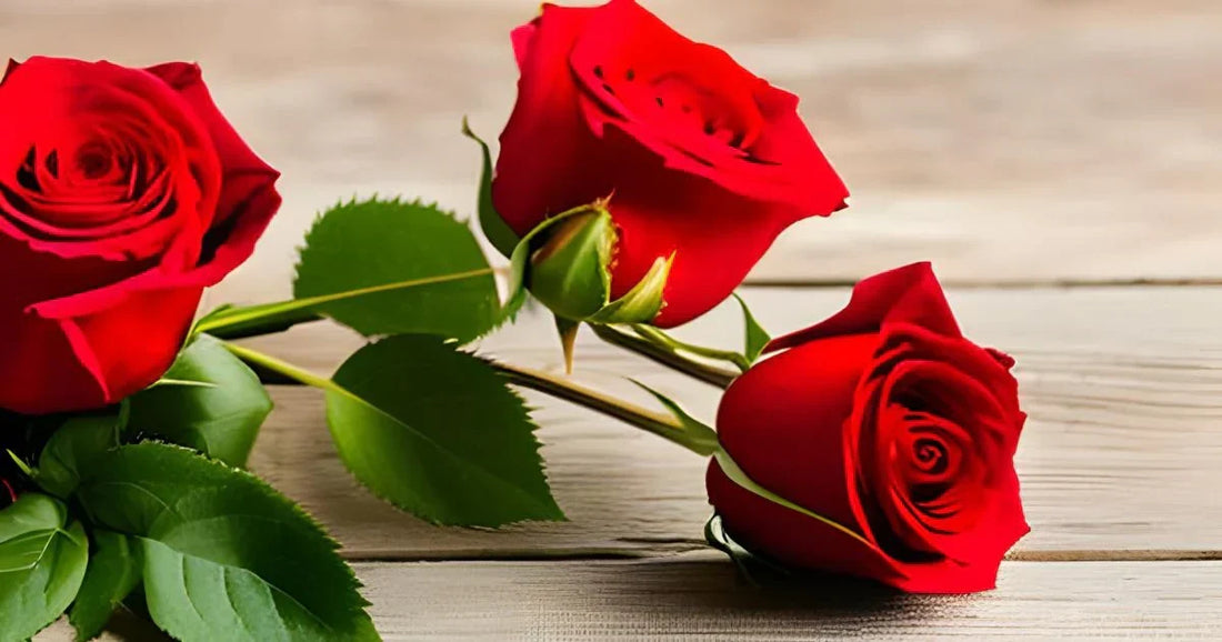 Rose Toy & Dating: Boost Intimacy & Confidence