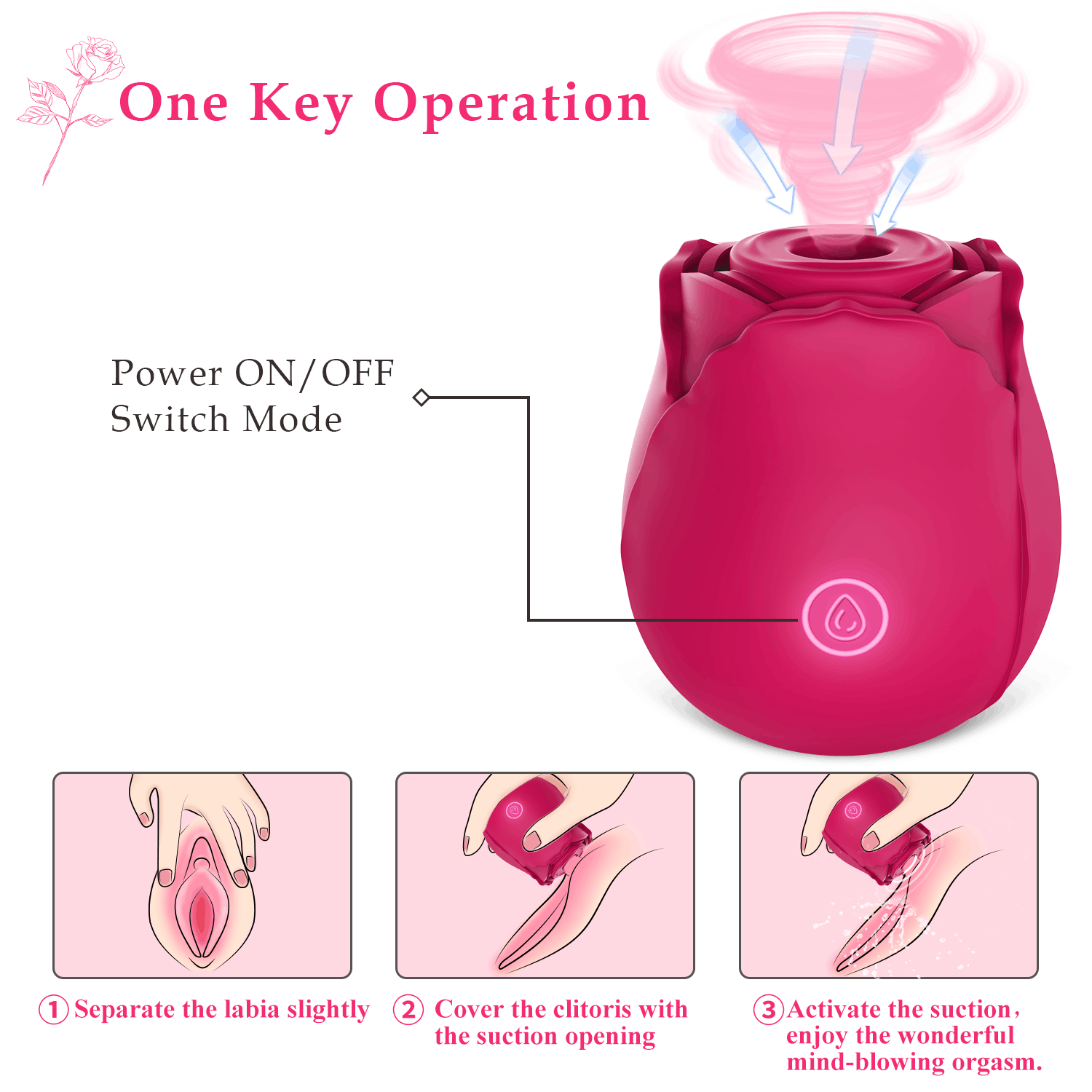 how to use The Rose