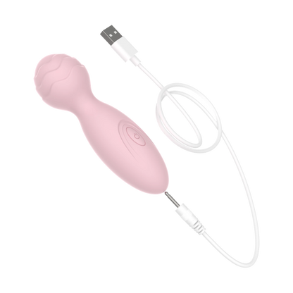RoseToy Lollipop Massager